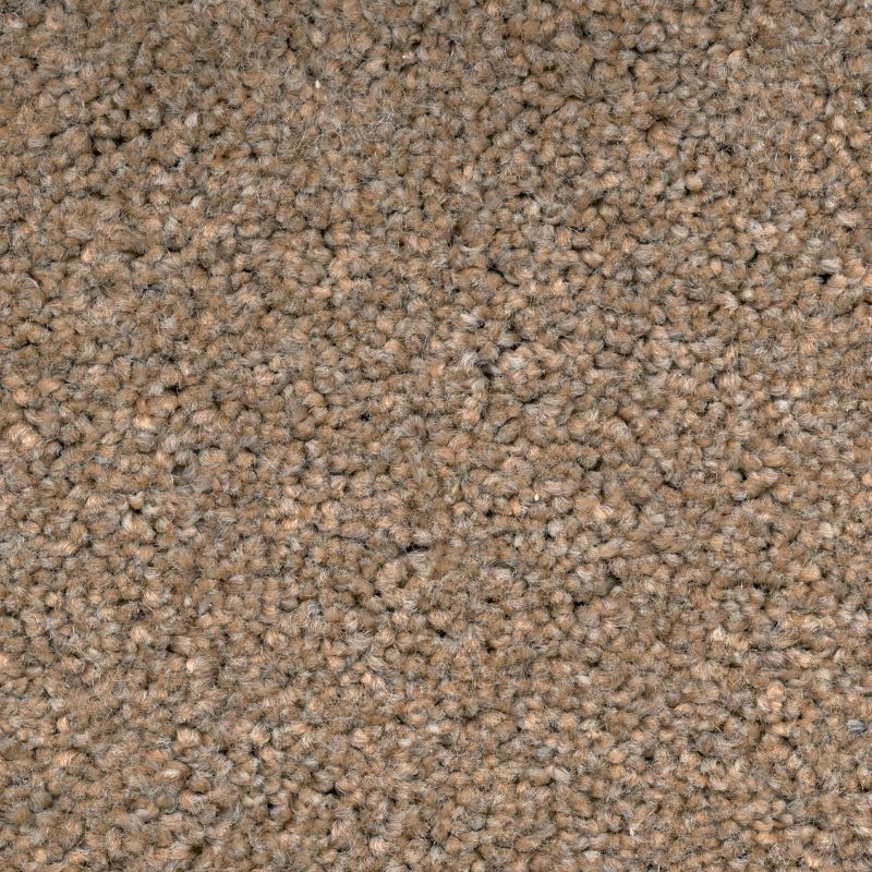 La Chartre Almond Carpet